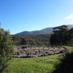 Hawksview At Mafeking - NT Tourism 0