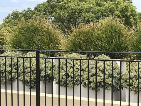 Newtown Mews - NT Tourism 3