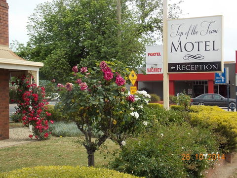 Top Of The Town Motel Benalla - NT Tourism 0