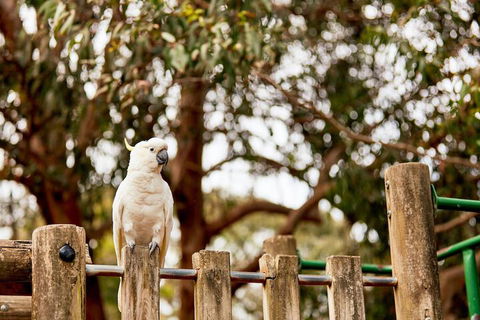 Kennett River Family Caravan Park - Accommodation NT 7