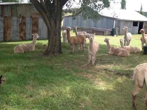 Glen Waverly Farmstay - Accommodation NT 1