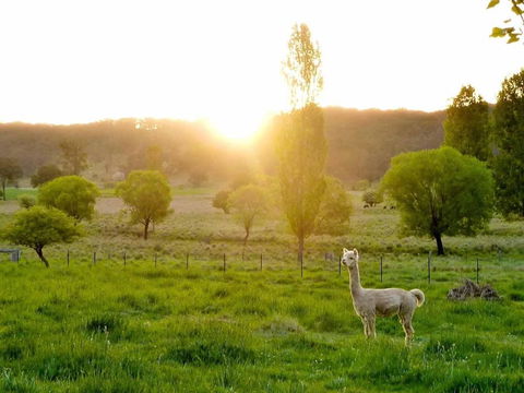 Glen Waverly Farmstay - Accommodation NT 6