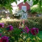 A Country Barn Retreat - NT Tourism 0