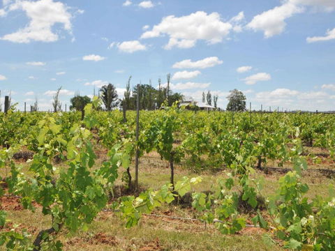 Beggars Bridge Vineyard Homestead W / Pool + Wifi + Tennis + Vineyard - Accommodation NT 1