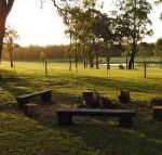 Wallaby Cottage cute Accom in bushland setting - NT Tourism