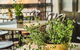 The Bronte Boutique Hotel - thumb 4