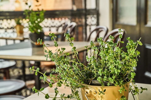 The Bronte Boutique Hotel - Accommodation NT 4