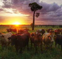 Myella Farm Stay - Accommodation NT