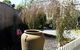 Creek Cottage Bed & Breakfast - thumb 4