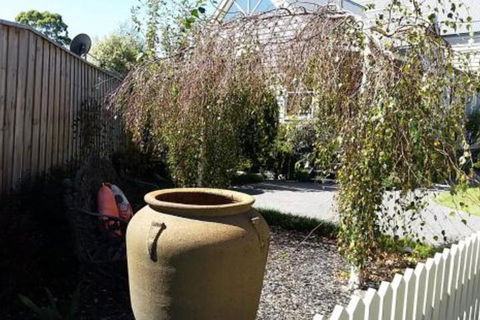 Creek Cottage Bed & Breakfast - Accommodation NT 4