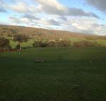 Mancuso Country Cottage Retreat - NT Tourism
