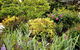 The Glasshouse Boutique Accommodation - thumb 6