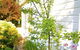 The Glasshouse Boutique Accommodation - thumb 4