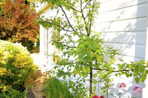 The Glasshouse Boutique Accommodation - Accommodation NT 4