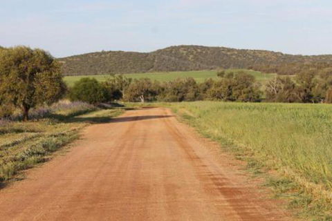 Northbrook Farmstay - Accommodation NT 4