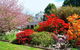 Grevillea Gardens Apartments - thumb 7