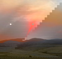 Snowy Mountains Resort and Function Centre - Accommodation NT