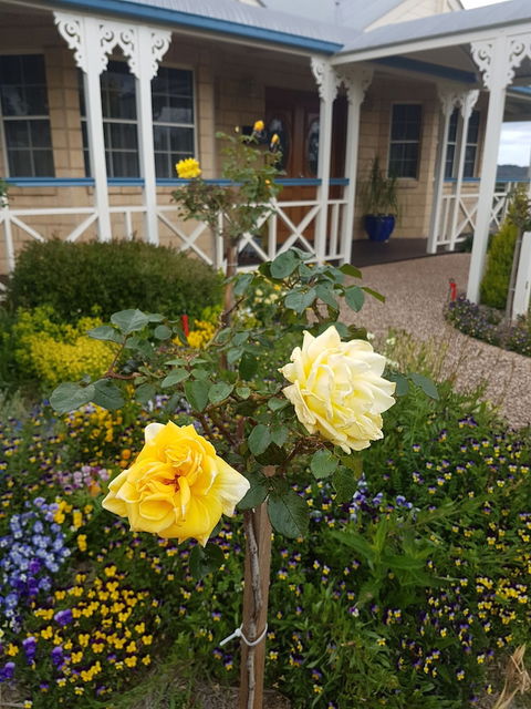 Grovely House Bed & Breakfast - NT Tourism 3