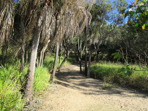 The Lovely Cottages Country Retreat - Accommodation NT 5