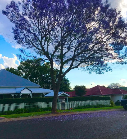 The Spotted Cow - NT Tourism 1