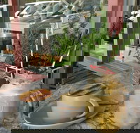 Binga  Mooch - Accommodation NT