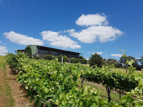 Traralgon Vineyard - NT Tourism 0