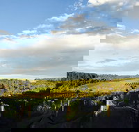 Rare Hare at Willow Creek Vineyard - Accommodation NT