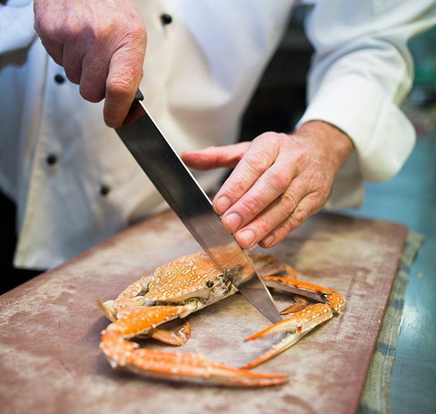 Cafe Amphora - Accommodation NT 20