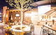 The Woodville Hotel - thumb 0
