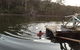 Mingling Waters - thumb 0