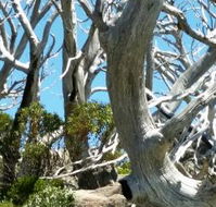 Alpine Eyre - NT Tourism