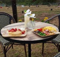 Kurrajong Bark Park and Cafe BCM - NT Tourism