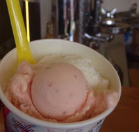 Bermagui Gelati Clinic - NT Tourism