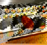 Freewave Sushi  Burgers - NT Tourism