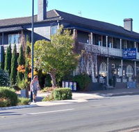 Coachwood  Cedar Motor Hotel Restaurant - Accommodation NT