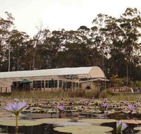 Abundance Cafe and Garden Centre - NT Tourism