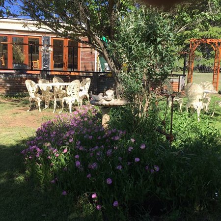 Wilbetree NSW NT Tourism