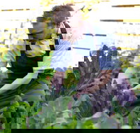 Chiswick Restaurant Woollahra - Accommodation NT