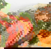 Raavi's Cumin - Accommodation NT