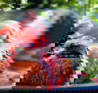 Chapter IV - NT Tourism