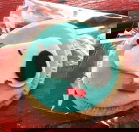 Curl the Whisker Cafe - Accommodation NT