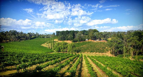 Kellybrook Winery And Kelly Brothers Cider - NT Tourism 0