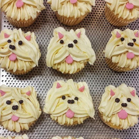 Cupcake Central - Maribyrnong - NT Tourism 0