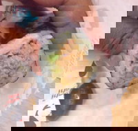 Quiksilver Bar 61 - Accommodation NT