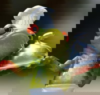 The Lillipad Cafe - Accommodation NT