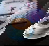 Xocolatl - Kew - Accommodation NT