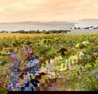 Boston Bay Wines - NT Tourism