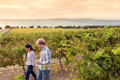 Boston Bay Wines - NT Tourism 0