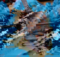 Cafe Buenta - Accommodation NT