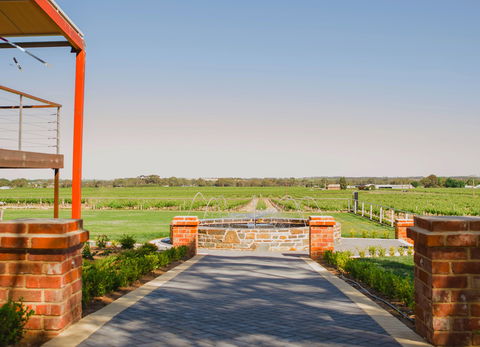 Calabria Family Wines Barossa - NT Tourism 2